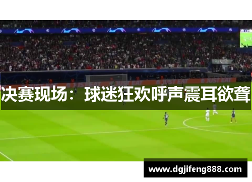 决赛现场：球迷狂欢呼声震耳欲聋
