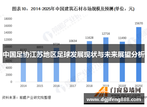 中国足协江苏地区足球发展现状与未来展望分析